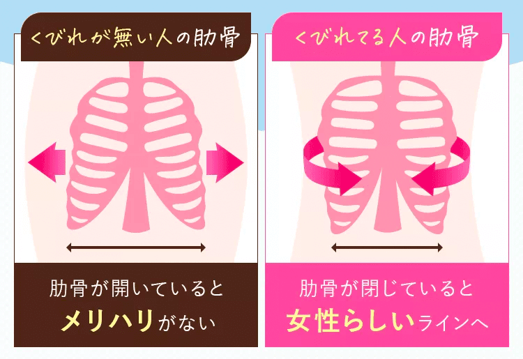 公式】DOES-U｜ダズユー スリムコルセット ベルミス